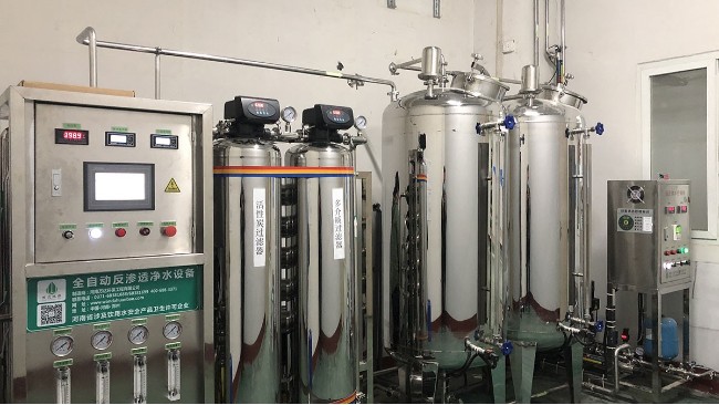 處理反滲透設(shè)備定制 雙級(jí)反滲透加edi設(shè)備